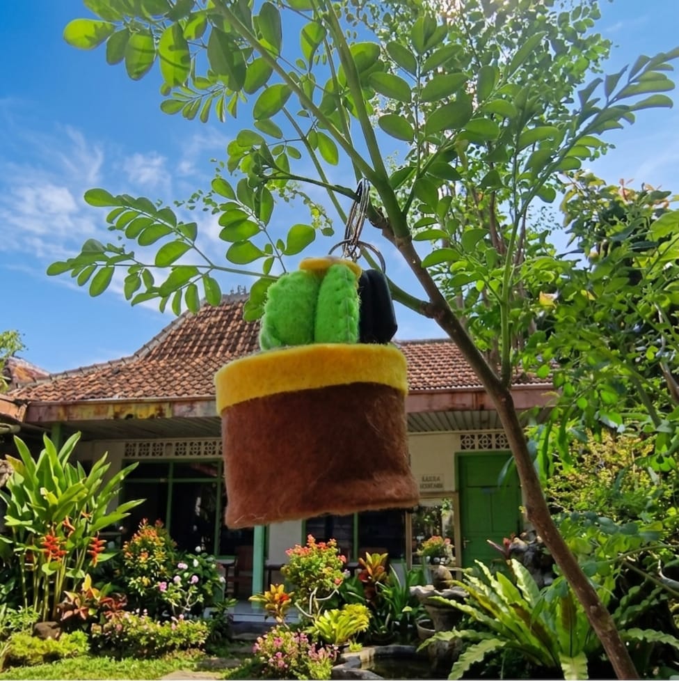 Tentang Mulk's Store